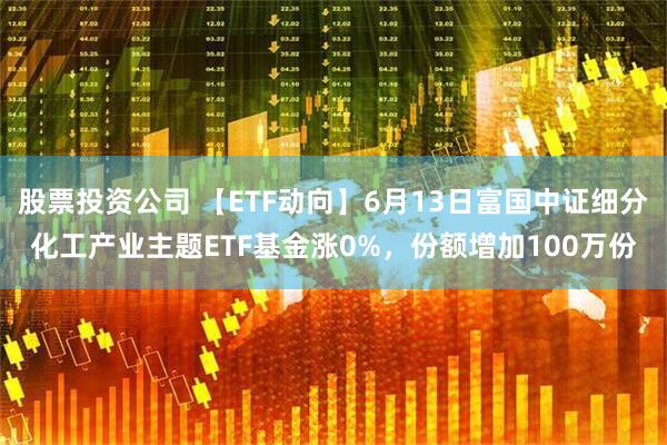 股票投资公司 【ETF动向】6月13日富国中证细分化工产业主题ETF基金涨0%，份额增加100万份