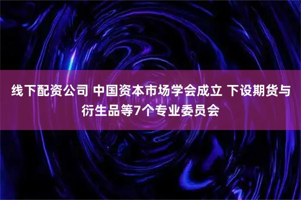 线下配资公司 中国资本市场学会成立 下设期货与衍生品等7个专业委员会